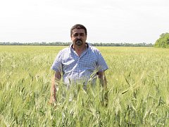К жатве хлебов подготовимся своевременно