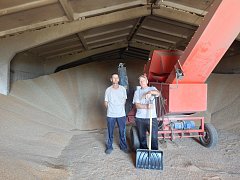 Молотят полным ходом: в КФХ С.И. Федосеева убирают озимую пшеницу