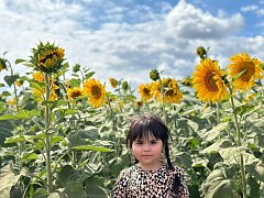 Стартовал фотомарафон «Операция «Подсолнухи»