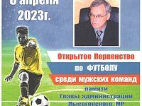 Завтра в Лысогорском районе состоится областной турнир по футболу среди мужских команд