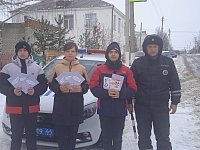 В Лысых Горах провели акцию «Дорога без опасности – с ремнём безопасности»