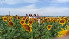 Стартовал фотомарафон «Операция «Подсолнухи»