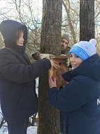 Лесные рейнджеры развесили синичники на Экотропе «Лысогорье»