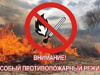 В лесах Саратовской области действует особый противопожарный режим