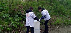 Специалисты  и волонтеры Лысогорского филиала ГБУ РЦ «Молодежь плюс» провели экологическую акцию «Чистый берег»