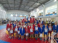 Лысогорские самбисты завоевали 46 медалей