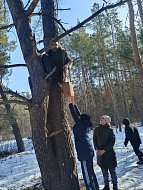 Лесные рейнджеры развесили синичники на Экотропе «Лысогорье»