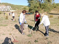 В Лысогорском районе прошел субботник