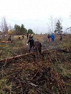 В Лысогорском районе прошла добровольческая акция по заготовке дров для наших бойцов