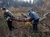 В Лысогорском районе прошла добровольческая акция по заготовке дров для наших бойцов