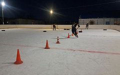 Команда «Подсолнух» из Лысогорского района готовится к хоккейному турниру